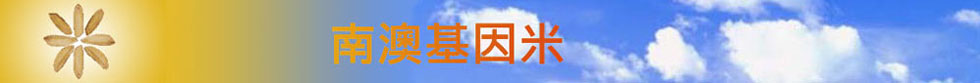 南澳基因米